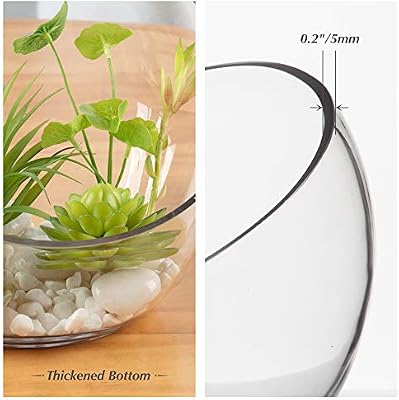 WGVI Clear Slant Cut Bowl Glass Vase, Glass Terrarium, Candy Dish, Glassware, Slant Cut, 7" Width, 6" Height (1 Piece) - image 4 of 4