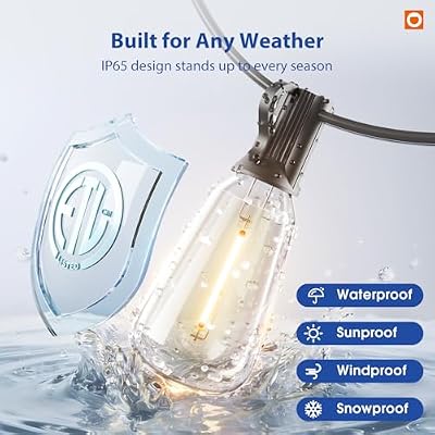 addlon 100FT Outdoor String Lights ST38 LED with Remote Waterproof Dimmable - image 4 of 4